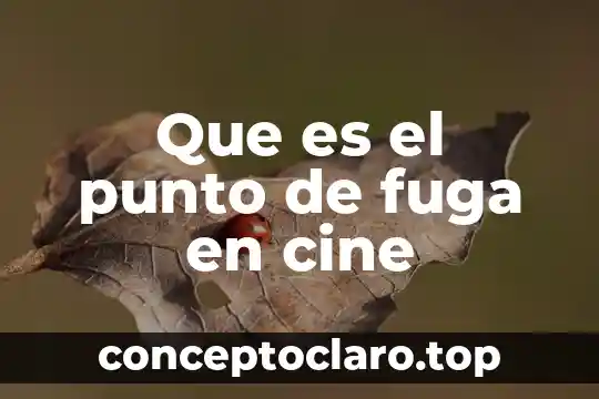 Que es el punto de fuga en cine
