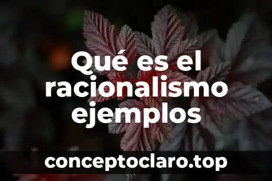Qué es el racionalismo ejemplos