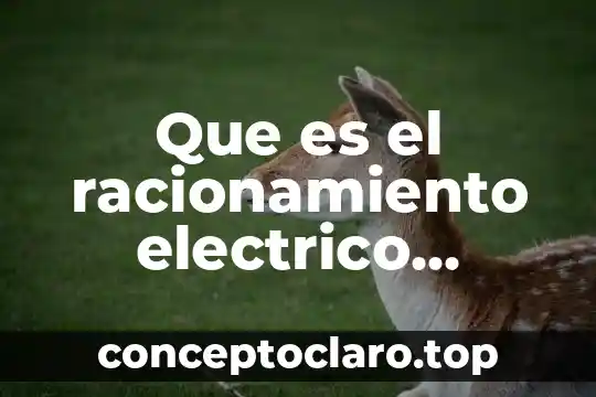Que es el racionamiento electrico concepto