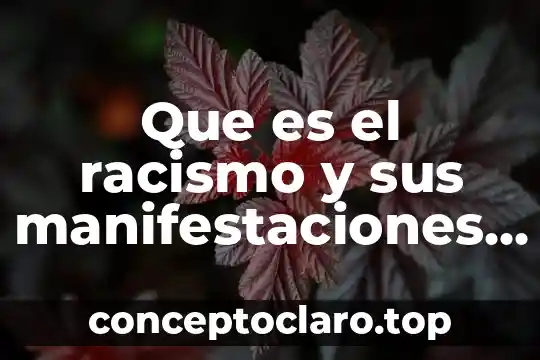 Wicca celta que es 6 Que es el racismo y sus manifestaciones en la sociedad