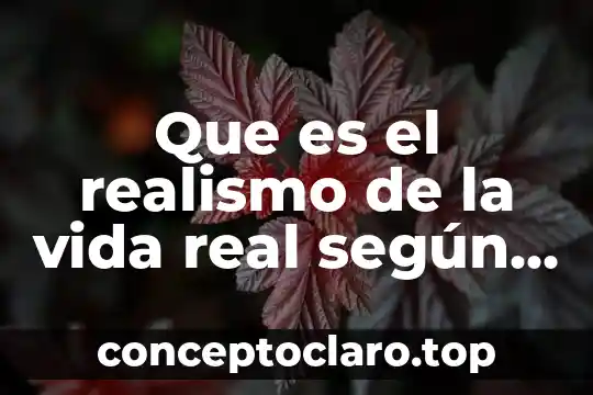 Que es realismo politico y sus valores 3 Que es el realismo de la vida real según Dios