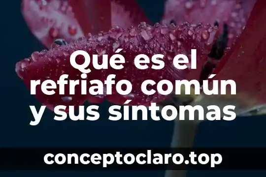 Qué es el refriafo común y sus síntomas