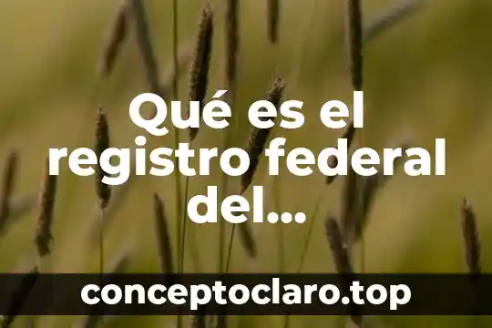 Qué es el registro federal del contribuyente en el pasaporte