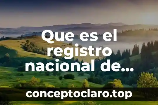 Que es el registro nacional de derechos de autor
