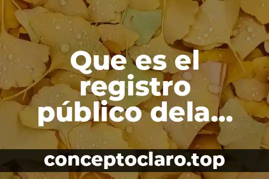 Que es reticulo endoplasmatico liso dela celula animal 6 Que es el registro público dela propiedad