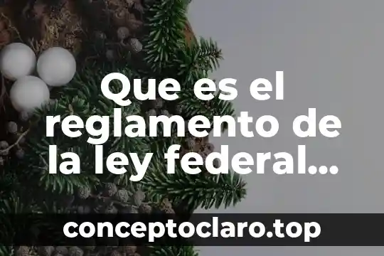 Qué es reglamento interno en un ejido 6 Que es el reglamento de la ley federal de turismo