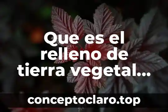Que es el relleno de tierra vegetal terminos de construccion