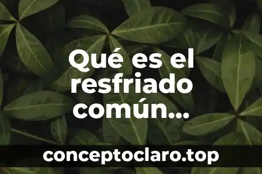 Qué es el resfriado común, prevención y síntomas