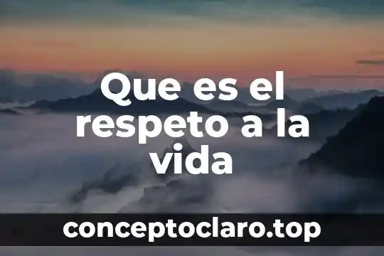 Que es el respeto a la vida