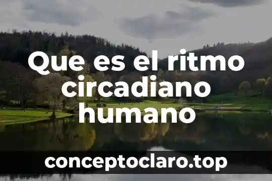 Que es significado ritmo obstetricia 4 Que es el ritmo circadiano humano