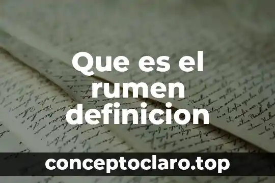 Que es el rumen definicion