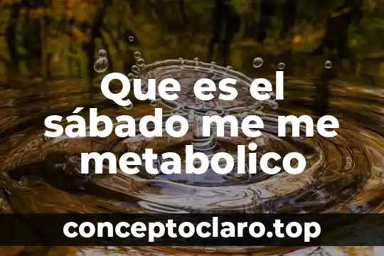 Que es el punto fijo metabolico 6 Que es el sábado me me metabolico