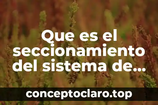 Que es el seccionamiento del sistema de agua potable