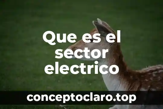 Que es el sector electrico