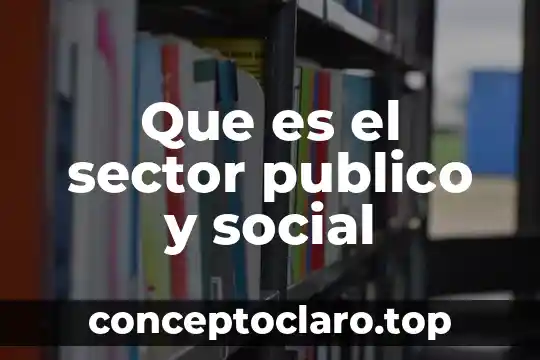 Que es el sector publico y social