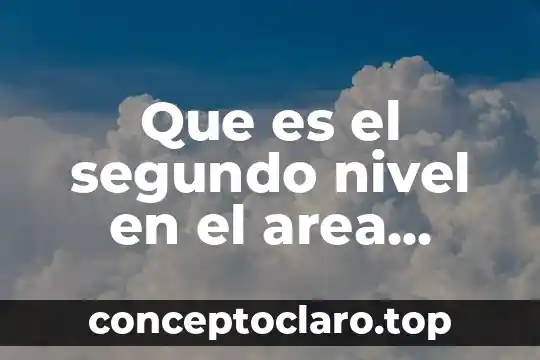 Que es el segundo nivel en el area hospitalaria