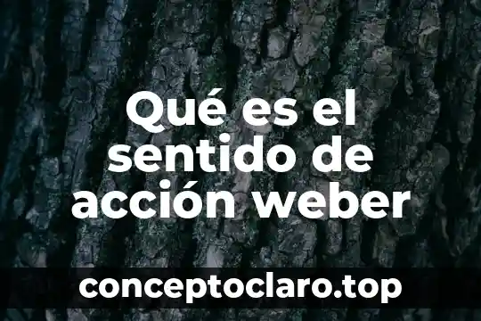 Qué es el sentido de acción weber