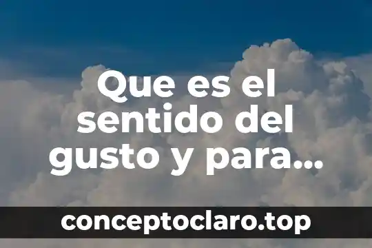 Que es el sentido del gusto y para que sirve