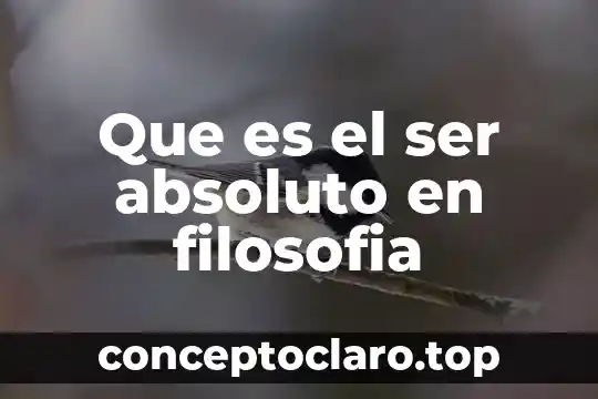 Que es el ser absoluto en filosofia