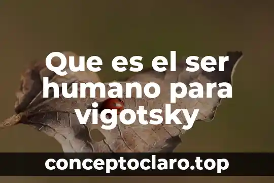 Que es el ser humano para vigotsky