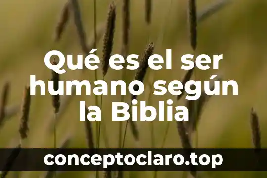 Qué es el ser humano según la Biblia