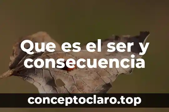 Que es el ser y consecuencia