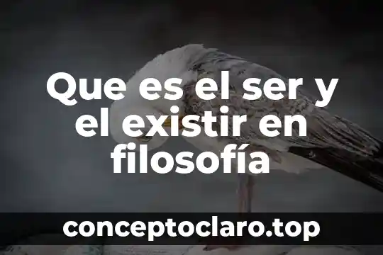 Que es el ser y el existir en filosofía
