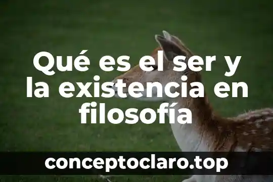Qué es el ser y la existencia en filosofía