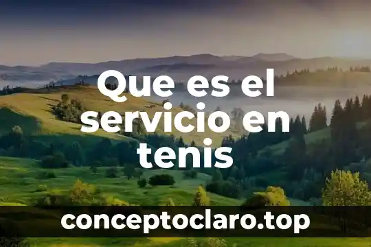 Nombre de la marca que es una x en tenis 3 Que es el servicio en tenis