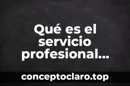 Qué es el servicio profesional público