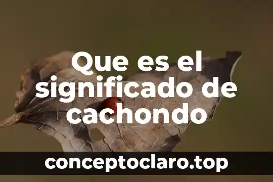 Que es significado llanuras 8 Que es el significado de cachondo
