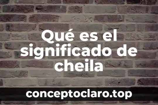 Que es una naturaleza polimerica significado 8 Qué es el significado de cheila