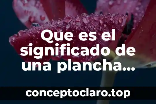 Que es el significado de una plancha normal