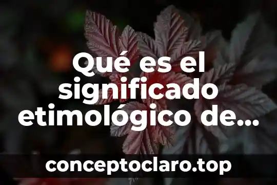 Que es una venus significado 5 Qué es el significado etimológico de geografía