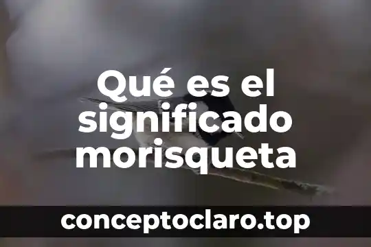Qué es cleptomanía significado 5 Qué es el significado morisqueta