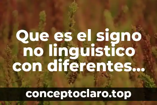 Que es el signo no linguistico con diferentes autores