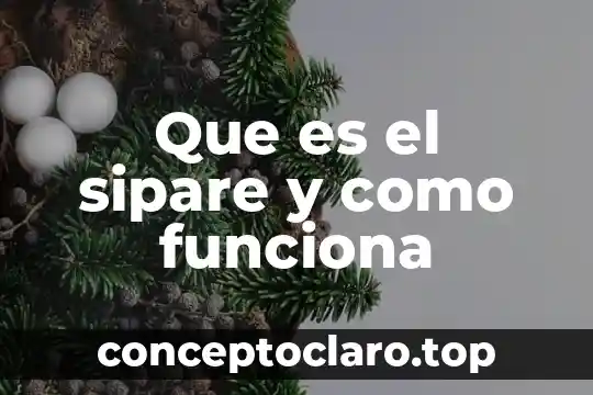 Que es el sipare y como funciona