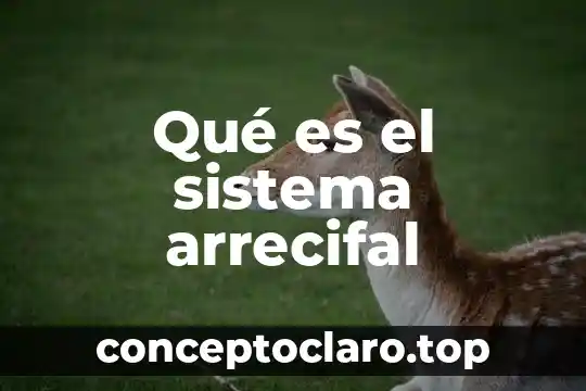 Qué es el sistema arrecifal