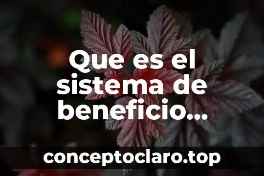 Que es el modelo costo beneficio 3 Que es el sistema de beneficio definido