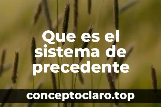 Símbolo del sistema que es 3 Que es el sistema de precedente