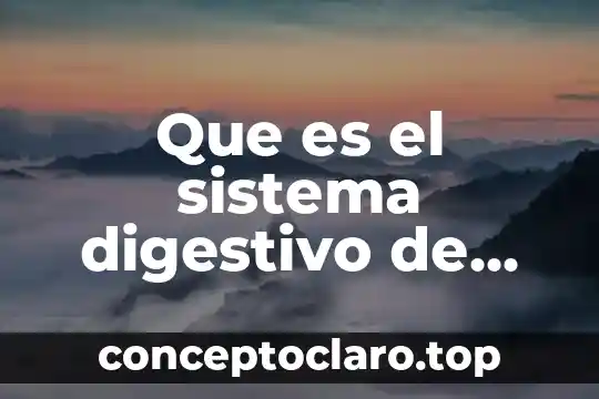 Qué es el símbolo del sistema y para qué sirve 8 Que es el sistema digestivo de los anelidos