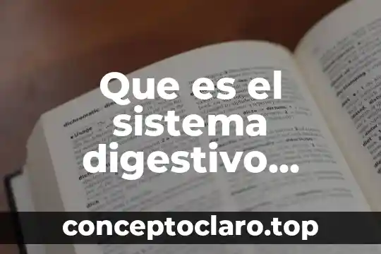Que es el sistema digestivo explicacion para niños