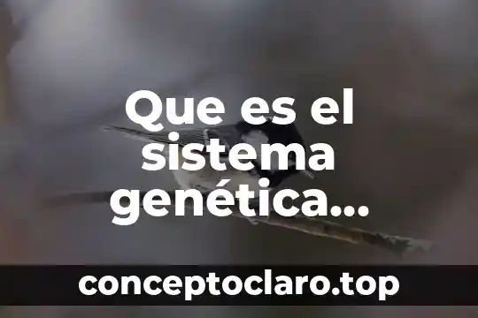 Que es el sistema genética molecular