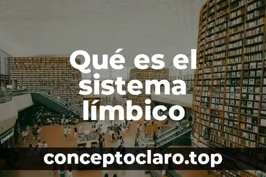 Qué es el sistema límbico