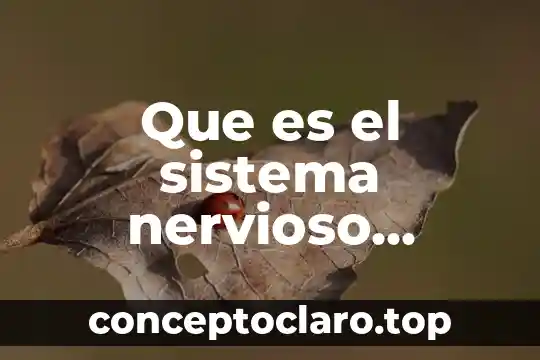 Que es el sistema nervioso censura