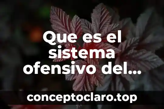 Qué es el tiro libre del baloncesto 6 Que es el sistema ofensivo del baloncesto