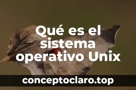 Qué es el sistema operativo Unix