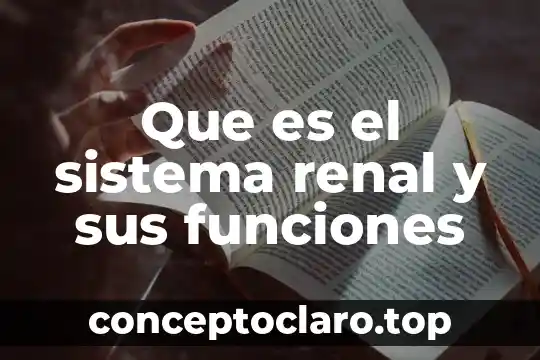 Qué es psicopedagogía y sus funciones 8 Que es el sistema renal y sus funciones