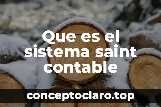 Que es el sistema saint contable