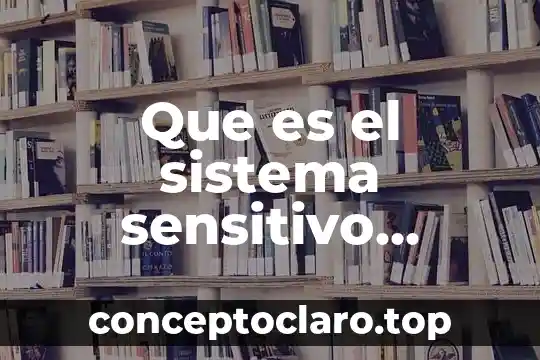 Símbolo del sistema que es 5 Que es el sistema sensitivo muscular